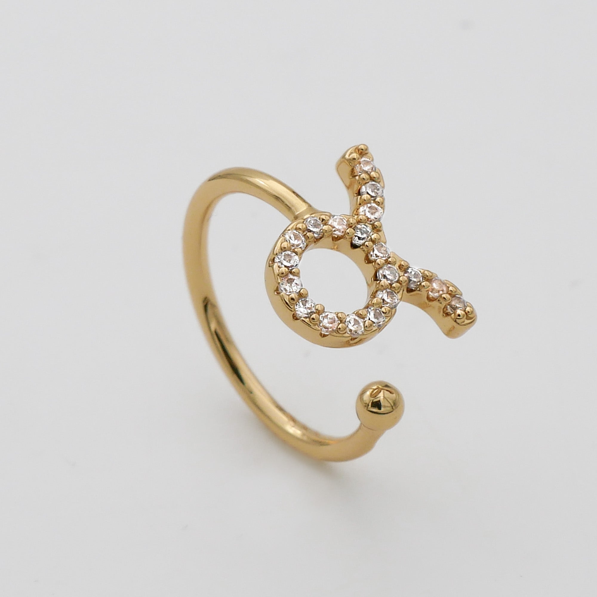 Icy Zodiac Ring